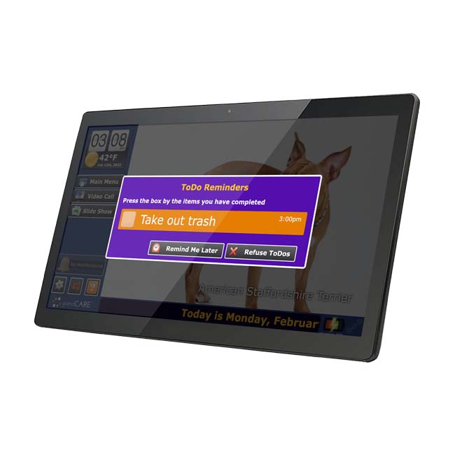 GrandCare assessments and customizations